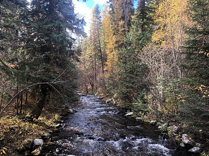 www.missoulacurrent.com