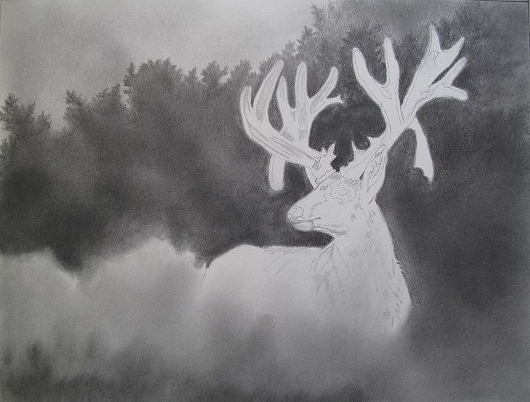 MuleDeer%20NT1_zpstddof3oh.jpg