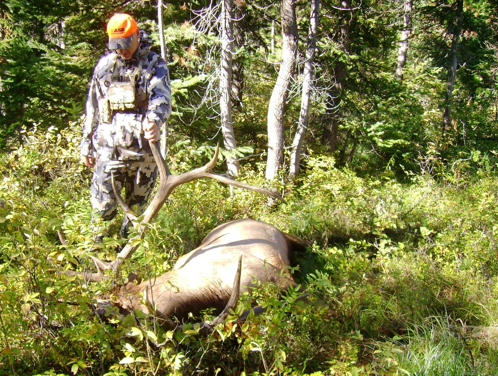 2013_Wy_Elk4.jpg