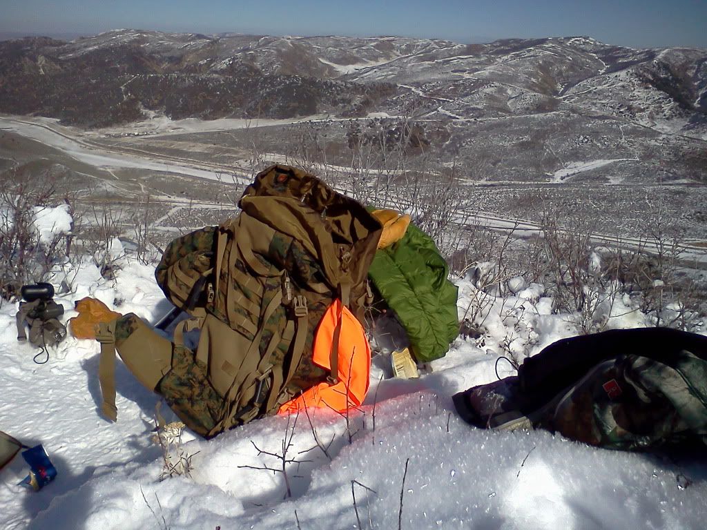 Fall2011004.jpg