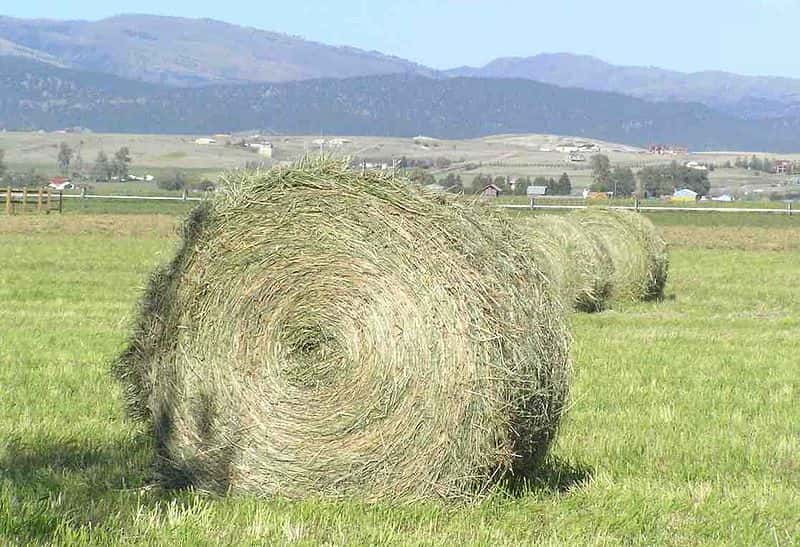 www.northernag.net