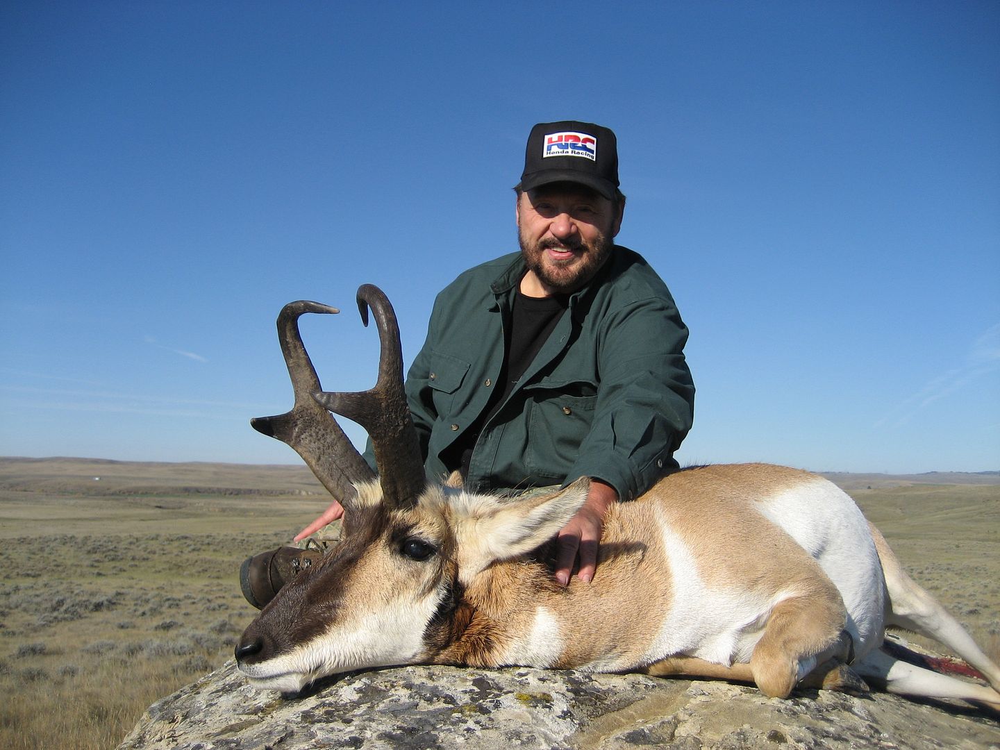 antelope2010031.jpg