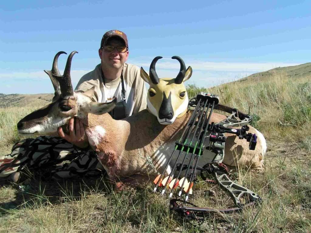 Antelope95201095010.jpg
