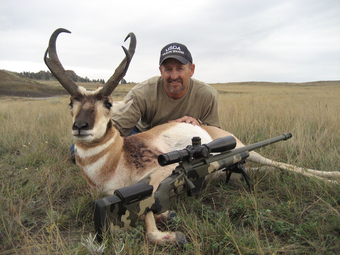 antelope2010018.jpg