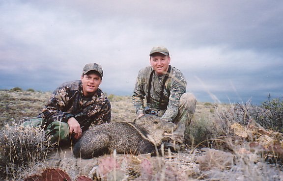 javelina042.JPG