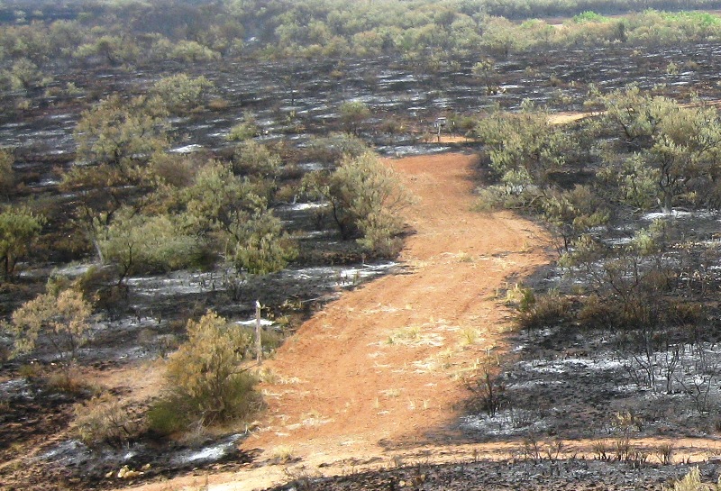 south_shooting_land_burned.jpg