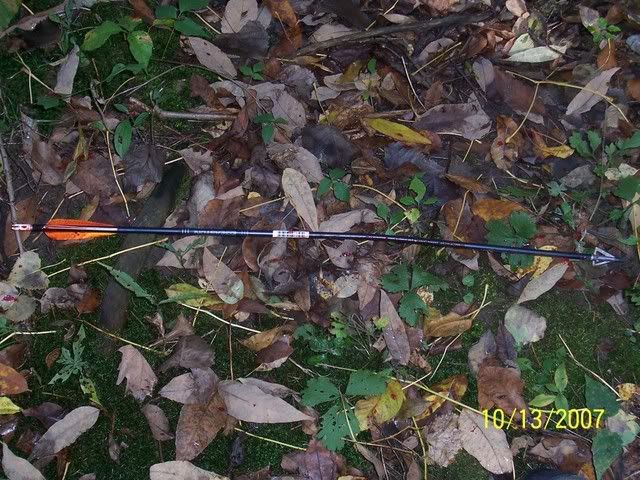 100_1456.jpg