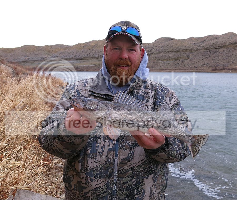 Mike%20Hodges%202-20-16_zps4ff5vhpu.jpg
