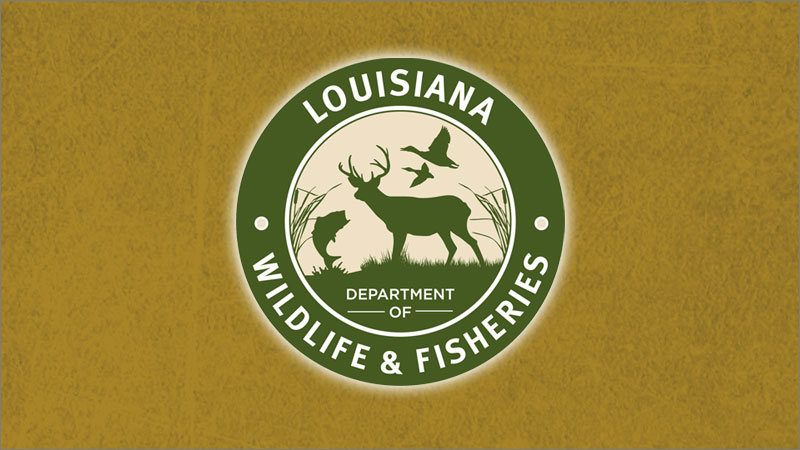 www.louisianasportsman.com