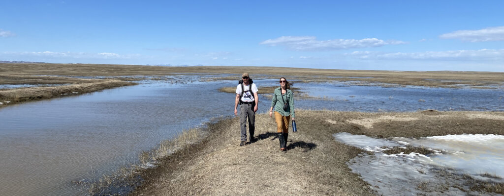 americanprairie.org