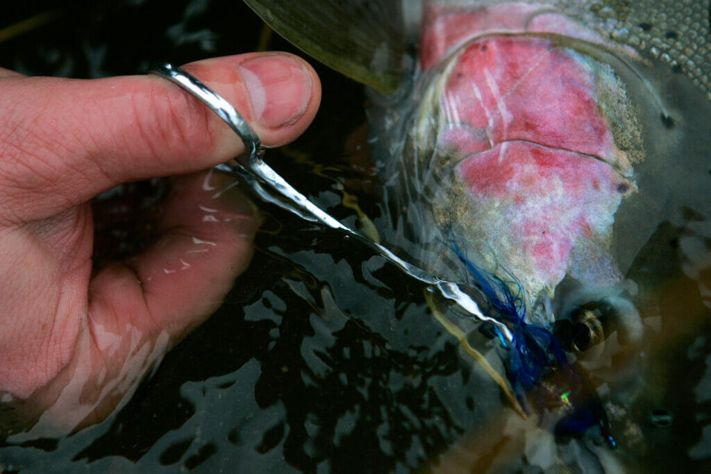 www.tu.org