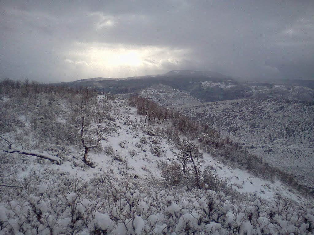 Fall2011036.jpg