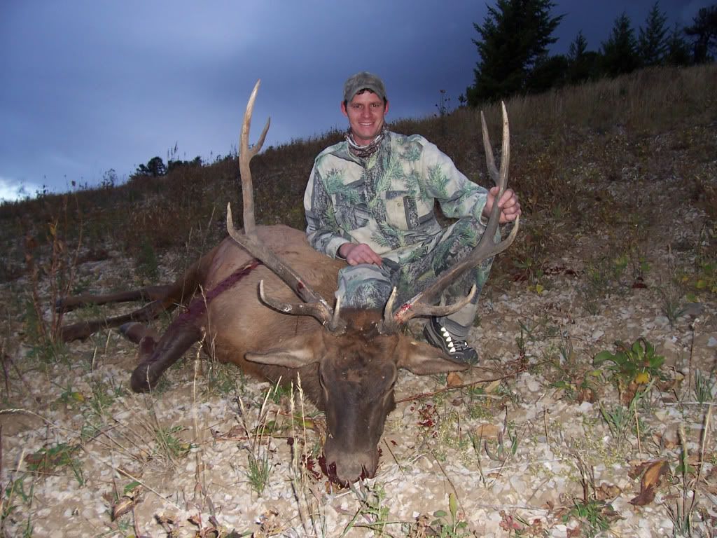 matt2008elk3.jpg