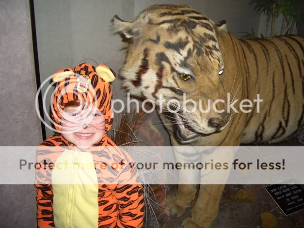 holloweentigers.jpg