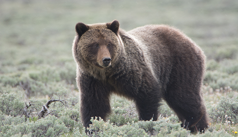 wyo4news.com