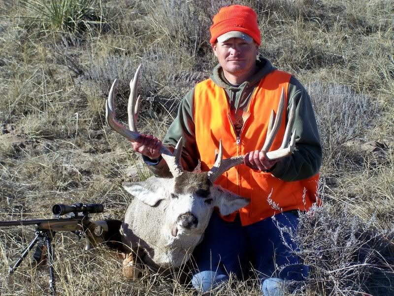 09Muledeer.jpg