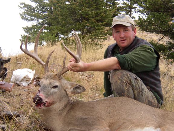 whitetail3.JPG