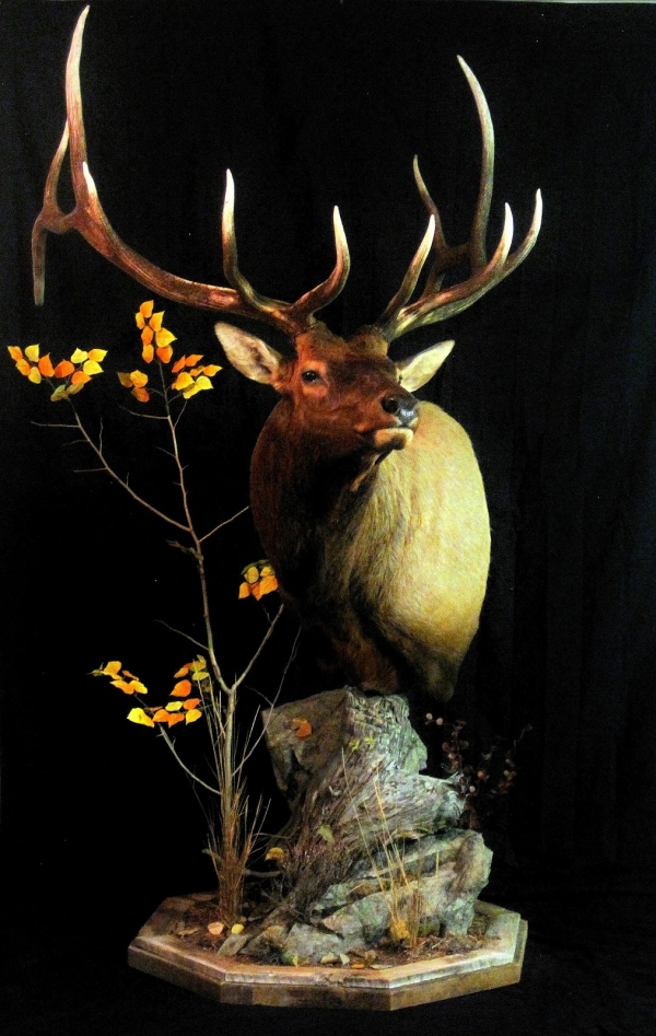 elk_pedestal_example.jpg