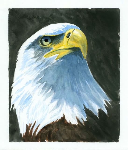 EagleHeadWaterColorMay312012.jpg