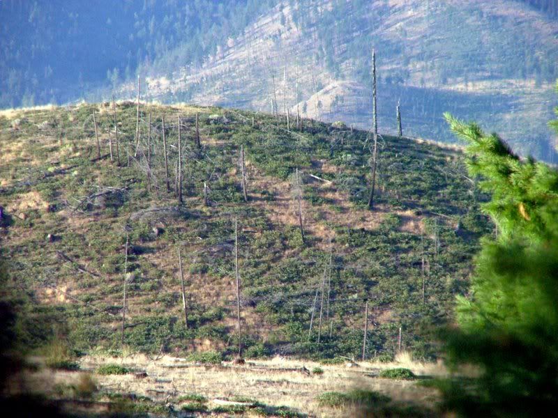 2006_0901Image0015.jpg