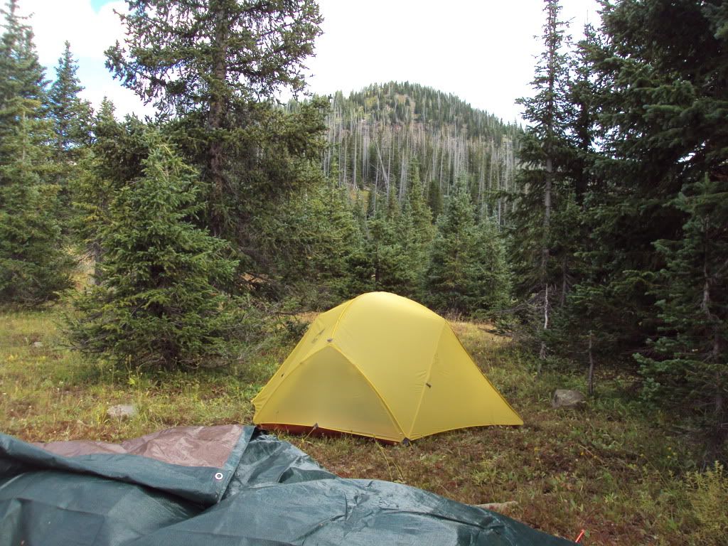 DSC02141.jpg