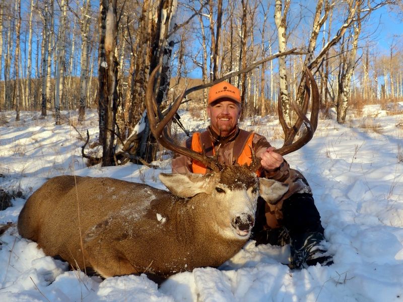 Buck1_zps09311b20.jpg