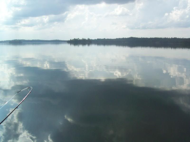 Picture105.jpg