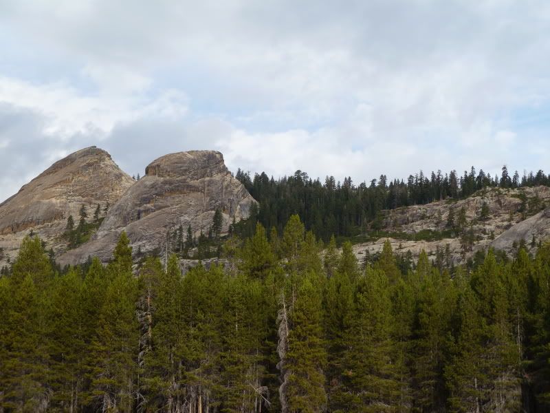 P1000173.jpg