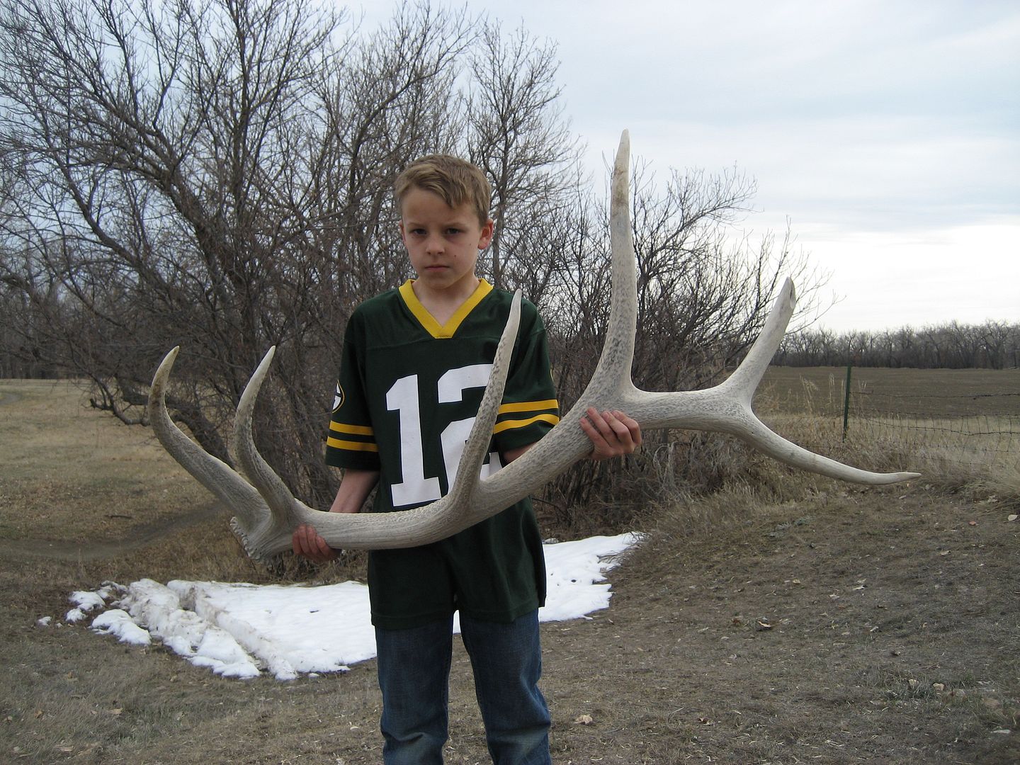 sheds2010003.jpg