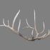 www.backcountrychronicles.com
