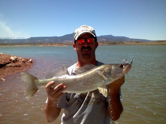 Walleye10.jpg