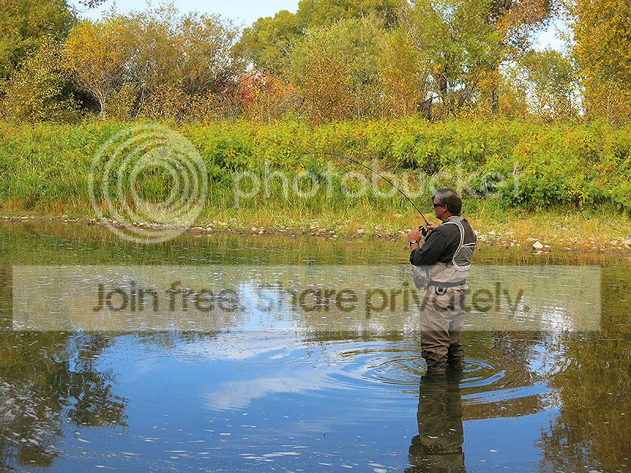 Troy%20Adams%209-23-16B_zpsphdw3dfu.jpg~original