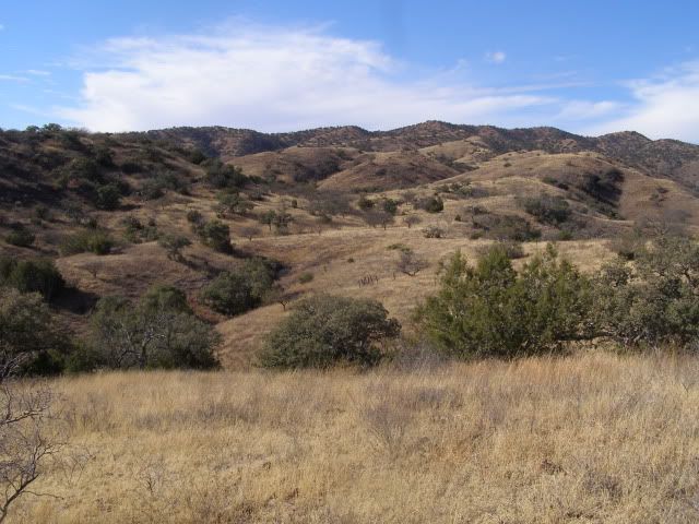 Jan012005_7535.jpg