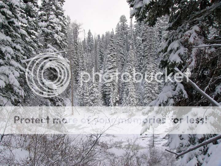 Snowy-hunt-scene.jpg