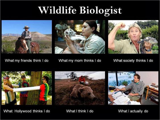 Wildlife_Biologist-12Jan2018.jpg