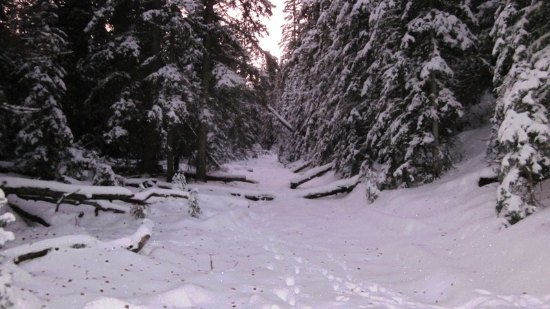 snowy_trail.jpg