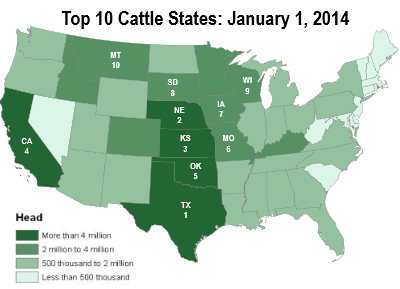 top%2010%20cattle%20states.PNG
