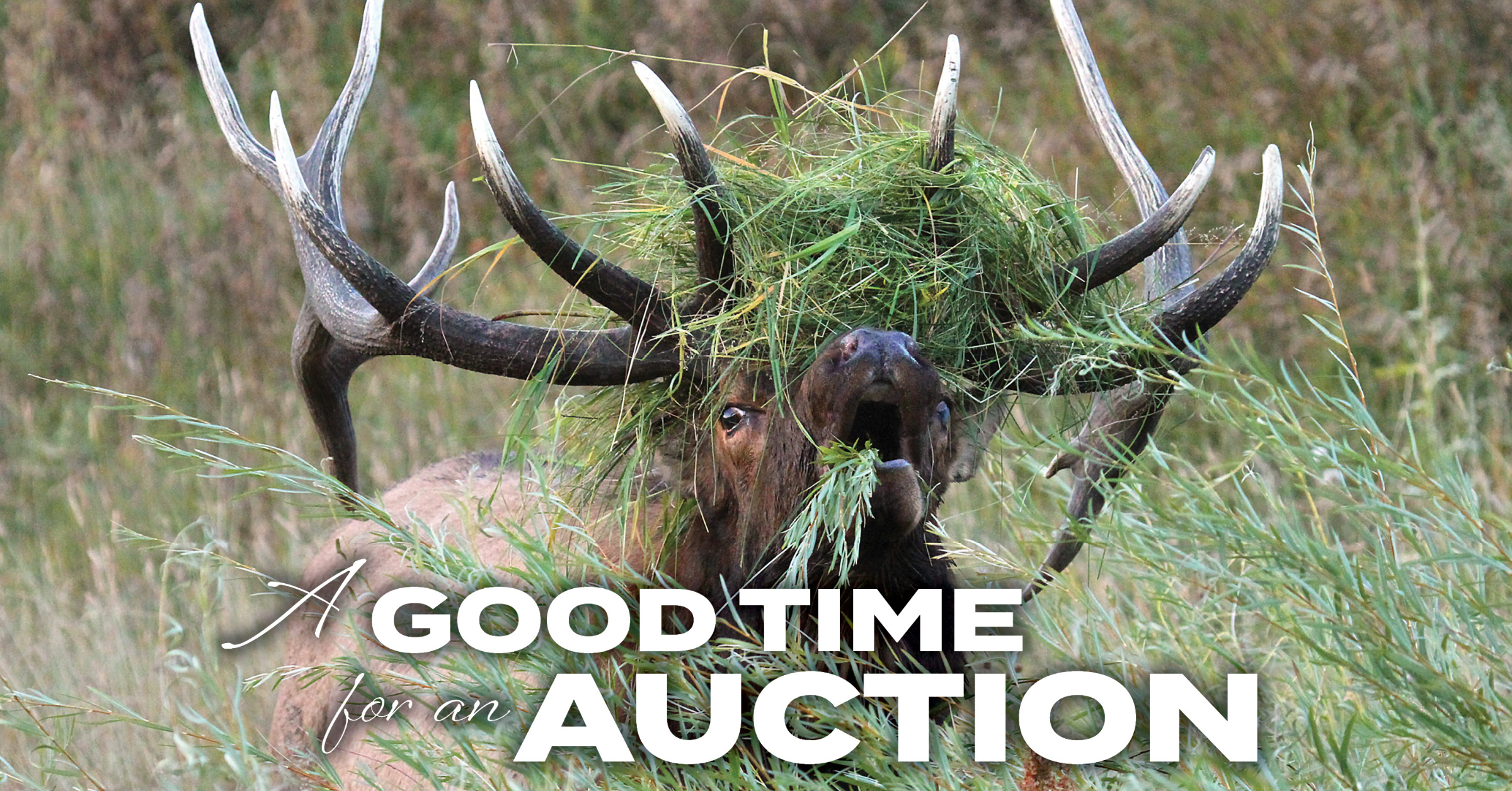 auctions.rmef.org