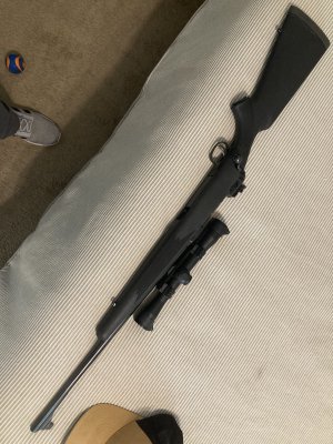 IMG_4062.jpeg IMG_4062.jpeg