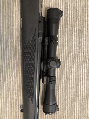 IMG_4063.jpeg IMG_4063.jpeg