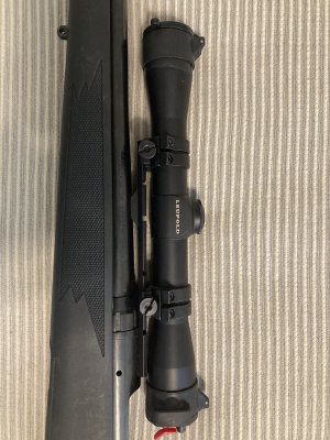 IMG_4064.jpeg IMG_4064.jpeg