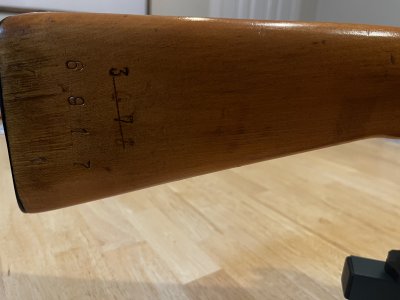 IMG_2867.jpeg IMG_2867.jpeg