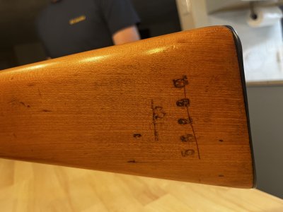 IMG_2870.jpeg IMG_2870.jpeg