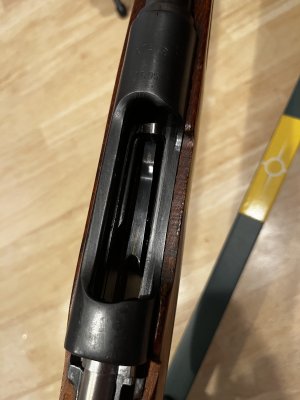 IMG_2875.jpeg IMG_2875.jpeg