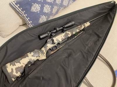 IMG_5098.jpeg IMG_5098.jpeg