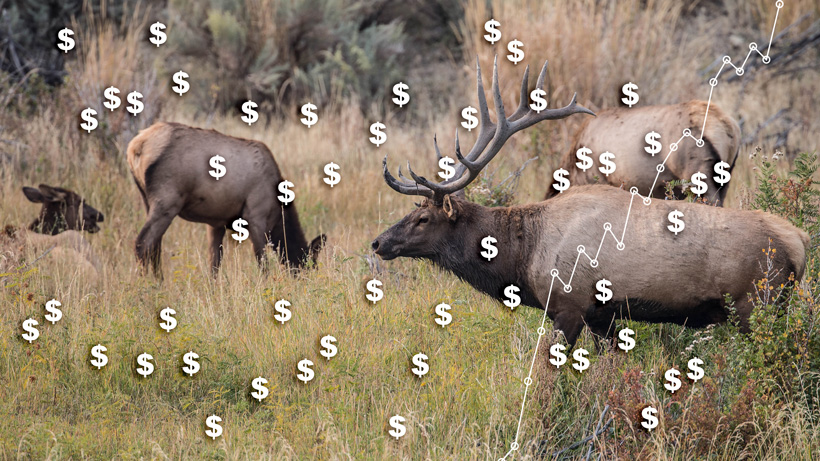 Wyoming 2018 fee increase for hunting licenses