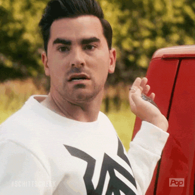 David-rose GIFs - Get the best GIF on GIPHY