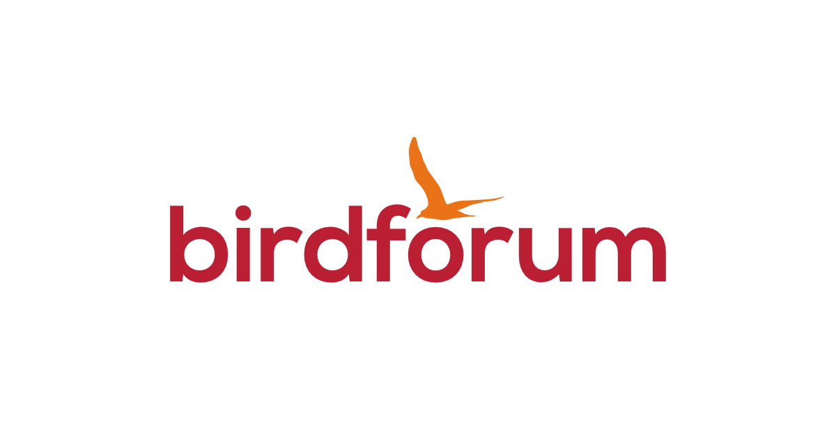 www.birdforum.net