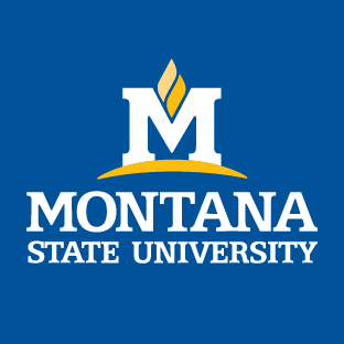 www.montana.edu