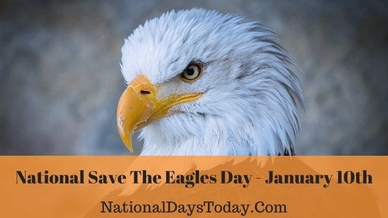 www.nationaldaystoday.com